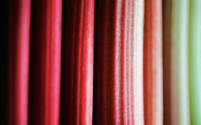 Rhubarb has a surprisingly savory side